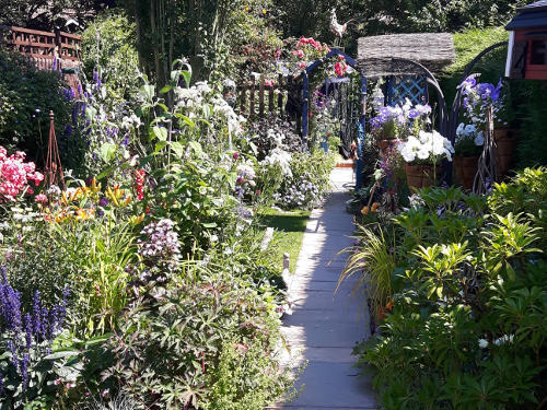 Garden borders