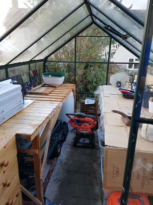 After greenhouse cleared and tidied