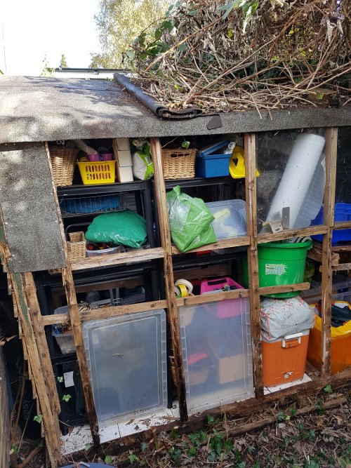 Before rotten shed with glass missing