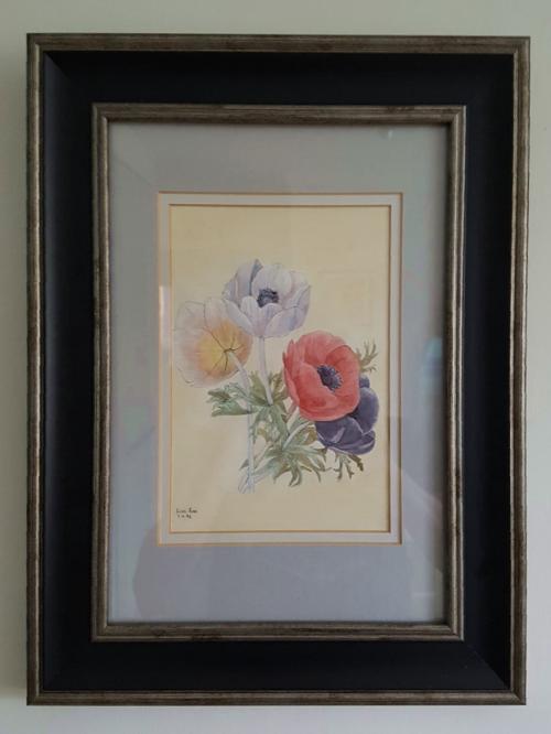 Anemones in watercolour